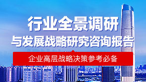 行业全景调研与发展战略研究报告