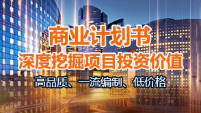 中研普华商业计划书