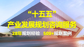 中研普华十五五规划