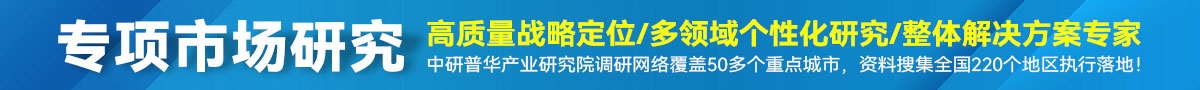 专项市场研究