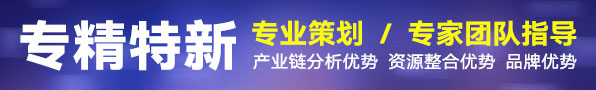 专精特新
