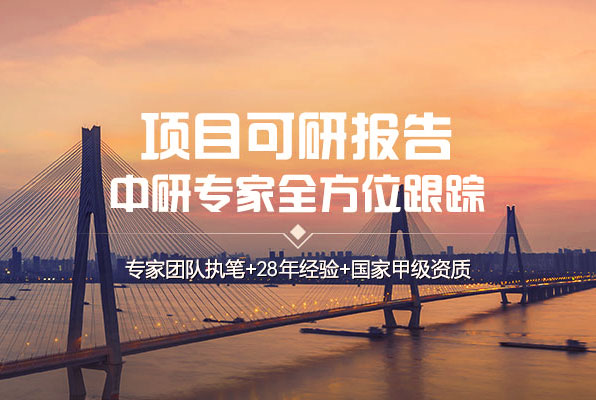 中研普华可行性研究报告