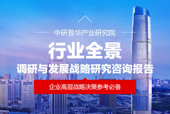 行业全景调研与发展战略研究报告