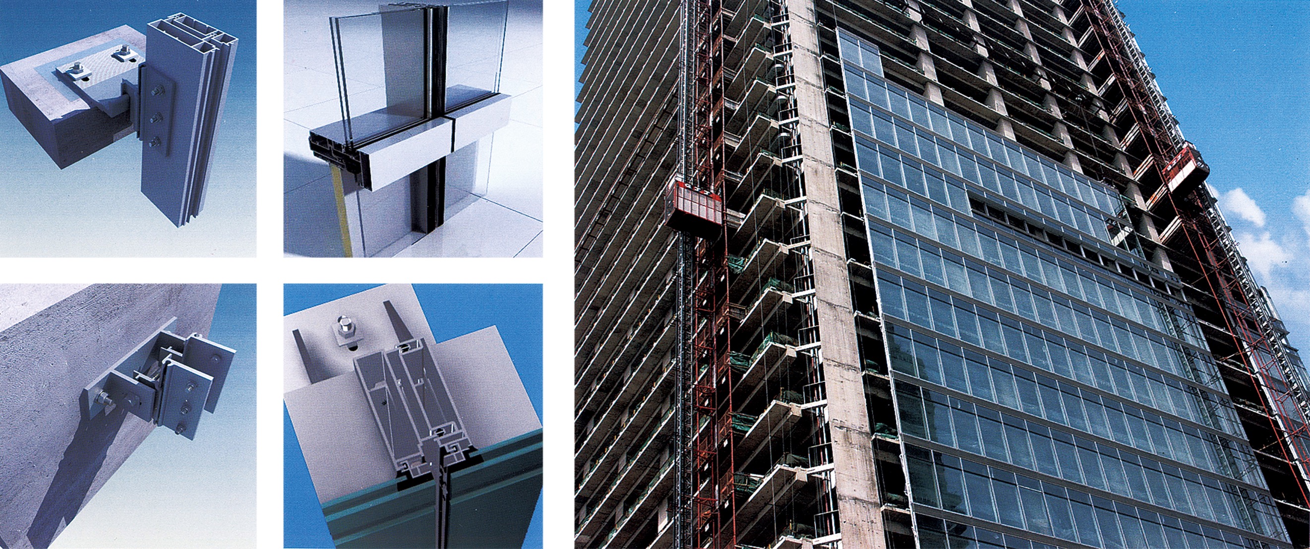 少妇性BBB搡BBB爽爽爽欧美