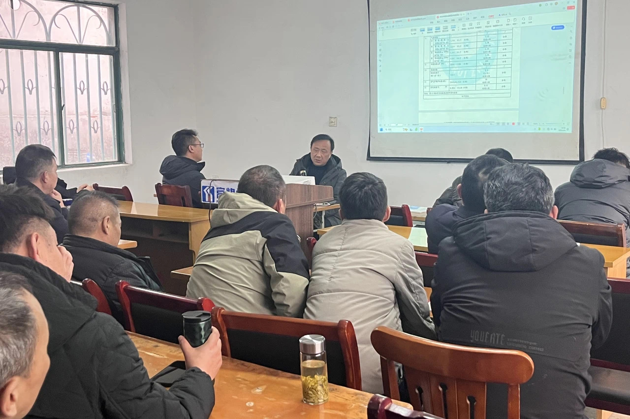 少妇性BBB搡BBB爽爽爽欧美