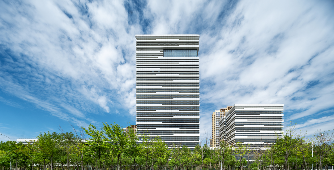 少妇性BBB搡BBB爽爽爽欧美