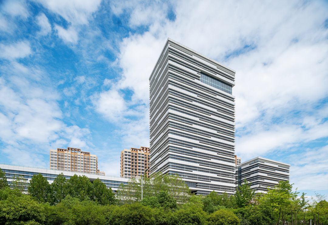 少妇性BBB搡BBB爽爽爽欧美