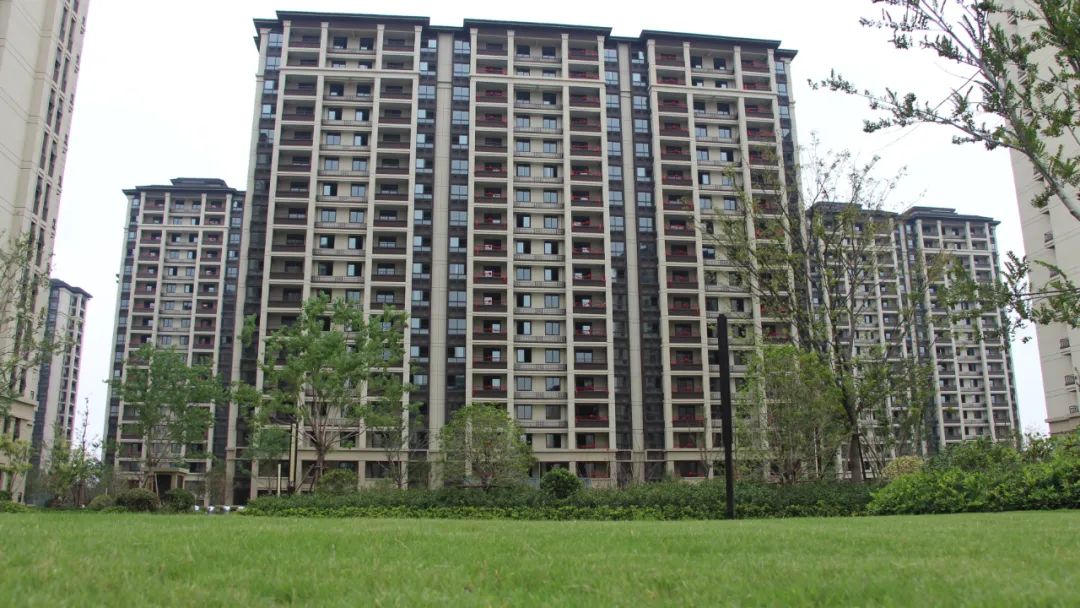 少妇性BBB搡BBB爽爽爽欧美