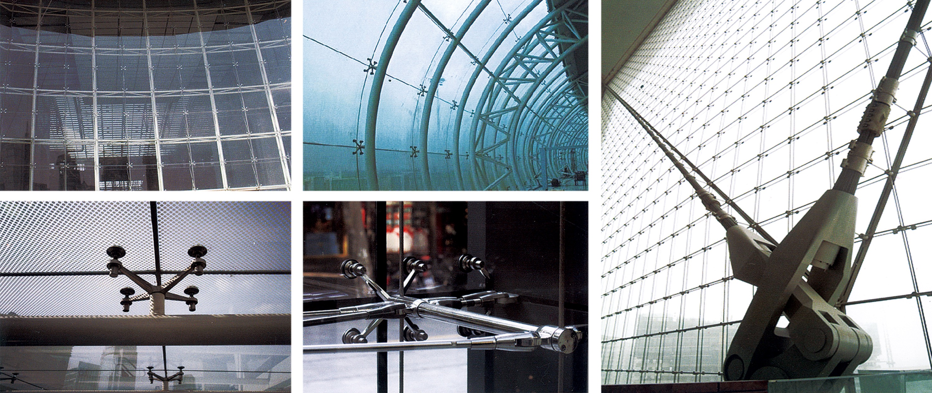 少妇性BBB搡BBB爽爽爽欧美