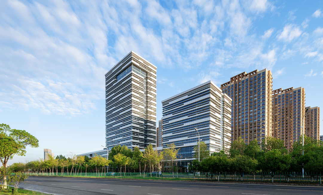 少妇性BBB搡BBB爽爽爽欧美