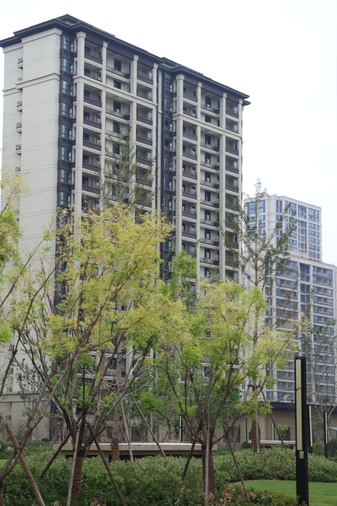 少妇性BBB搡BBB爽爽爽欧美