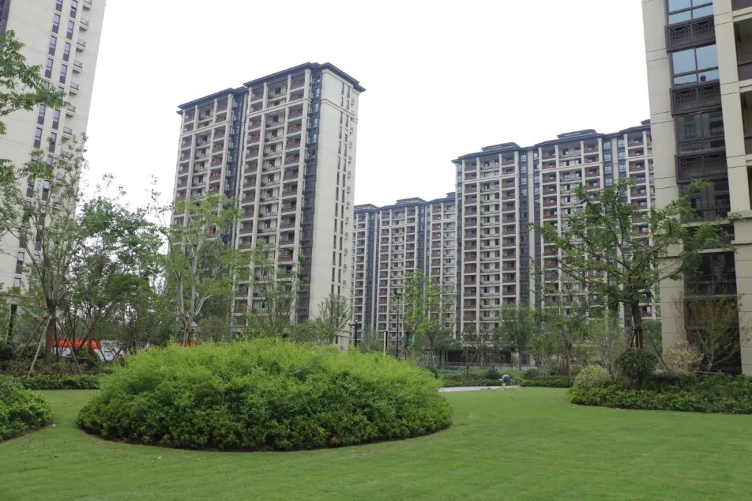 少妇性BBB搡BBB爽爽爽欧美