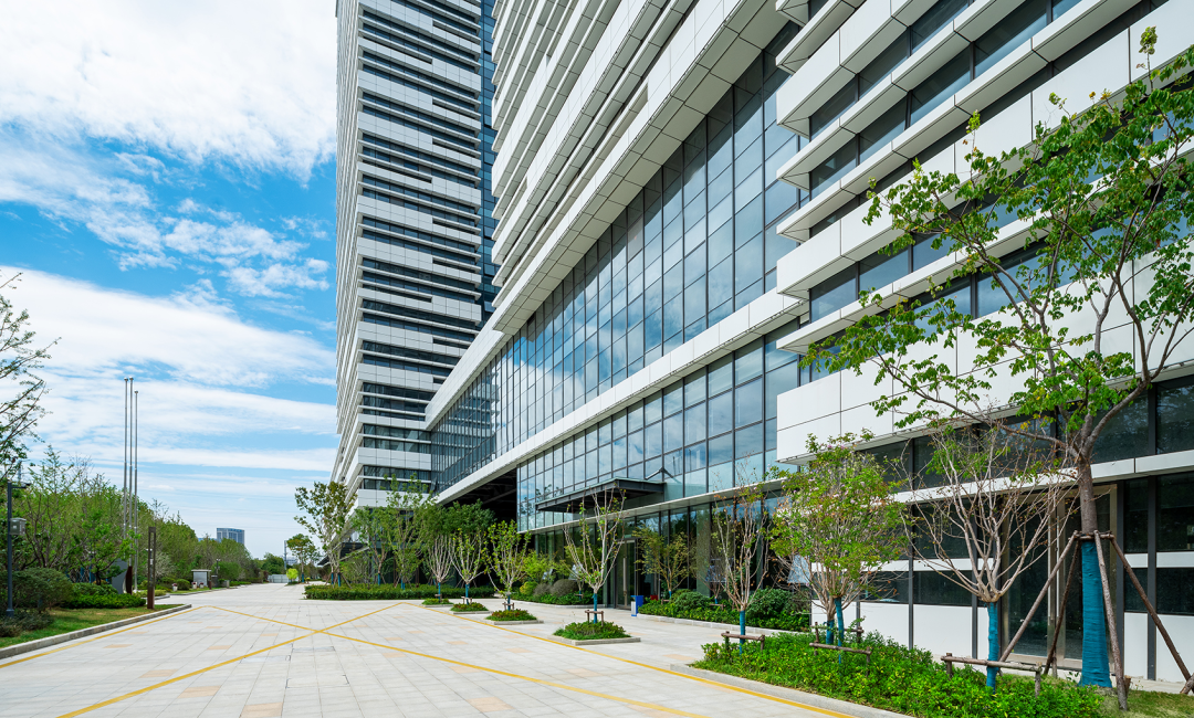 少妇性BBB搡BBB爽爽爽欧美