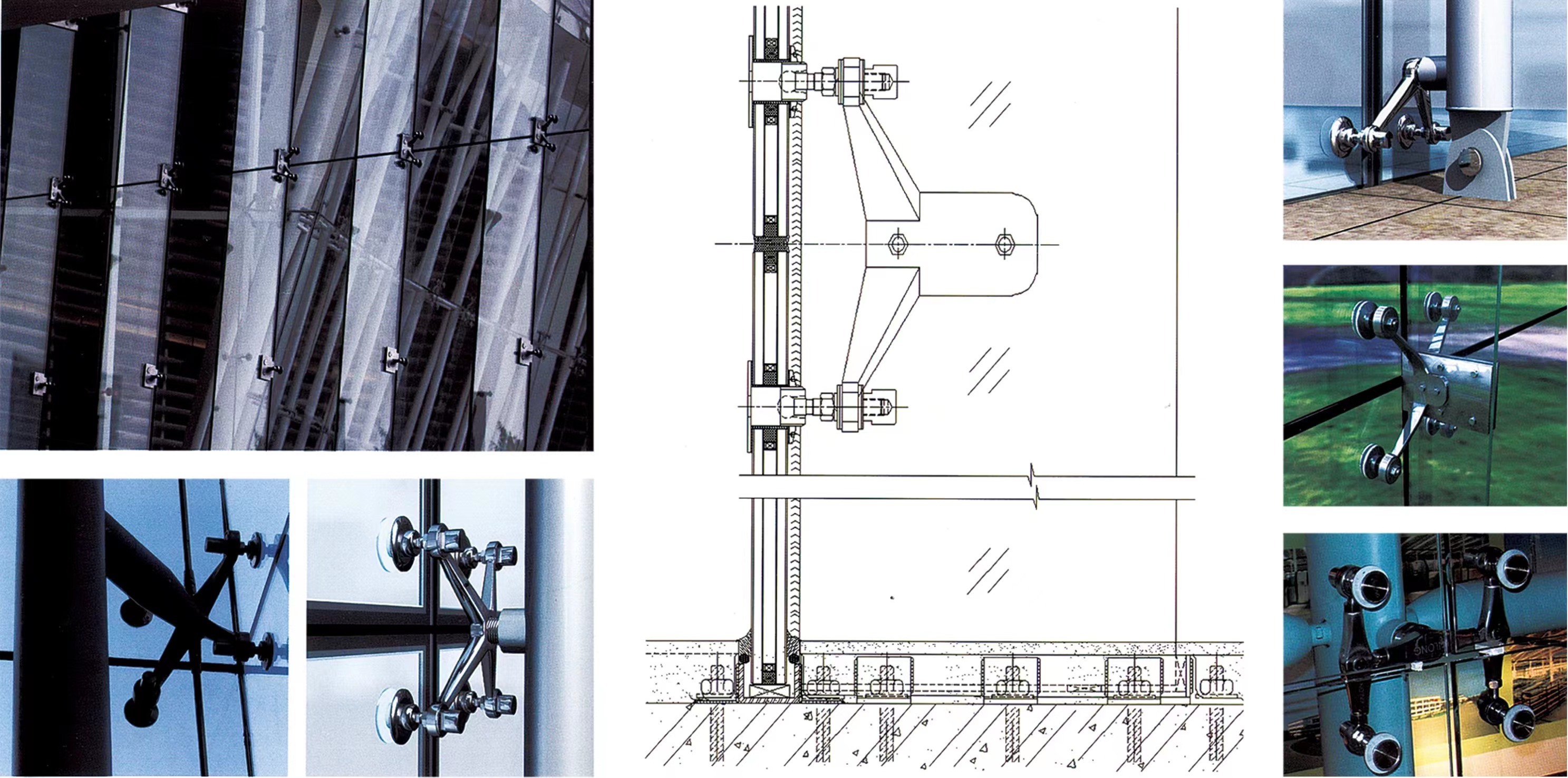 少妇性BBB搡BBB爽爽爽欧美