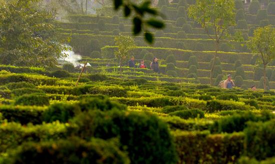 中国陵园墓地产业链发展现状 陵园墓地行业发展战略研究