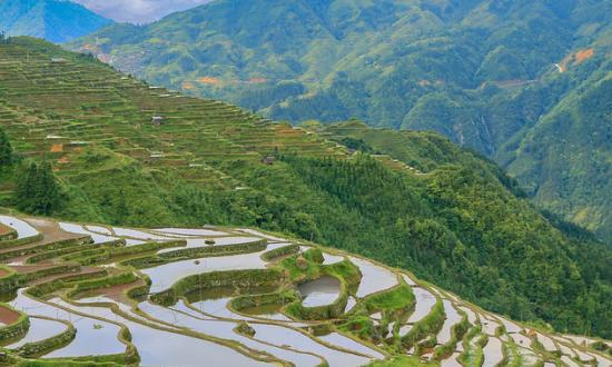 2023农业观光园行业市场深度分析及发展空间预测分析