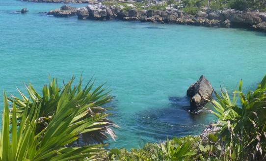 2023生态主题公园行业全景调研与发展战略研究咨询