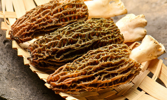 羊肚菌种植行业现状分析 羊肚菌种植行业市场投资潜力