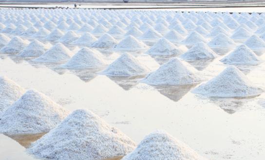 2023中国原盐产业未来趋势分析