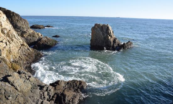 海鲜水产市场需求有多大？海鲜水产电商行业市场调研2023