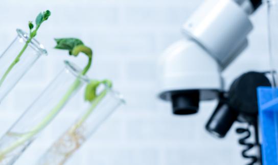 2023微生态制剂行业市场投资价值分析 未来行业发展潜力巨大