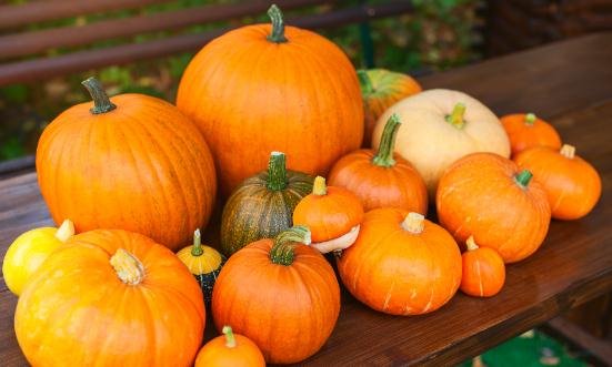 南瓜行业市场现状及行业发展分析