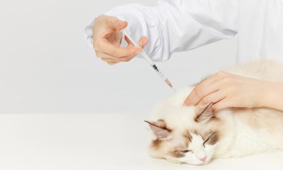 2023中兽药行业发展现状及市场供需分析