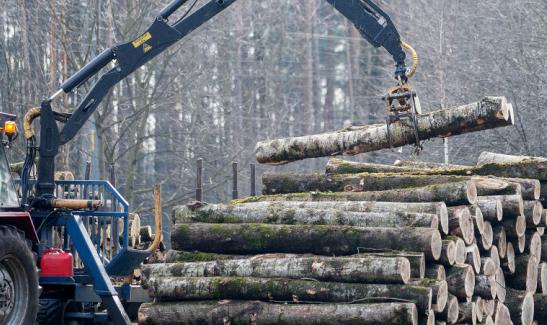 2023年林业机械行业深度分析及投资价值