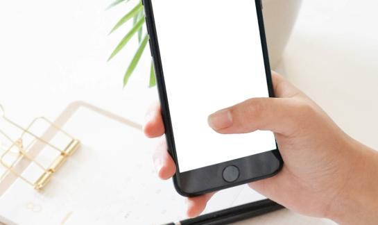 2023年中国阅读APP行业市场全景调研