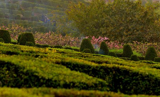 陵园墓地行业现状调研分析2023