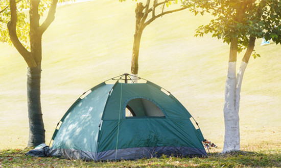 2023露营体验服务行业市场研究报告