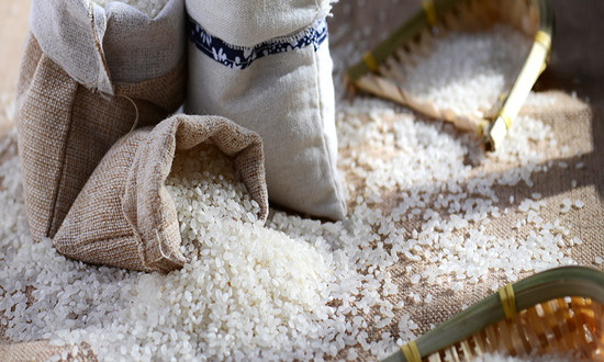 中国粮食贸易行业市场需求现状分析2023