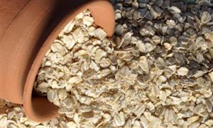 2023年稀土抛光粉行业发展趋向与投资现状分析