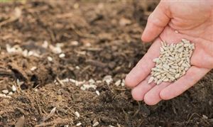 推动转基因农业发展 转基因农业发展前景投资分析