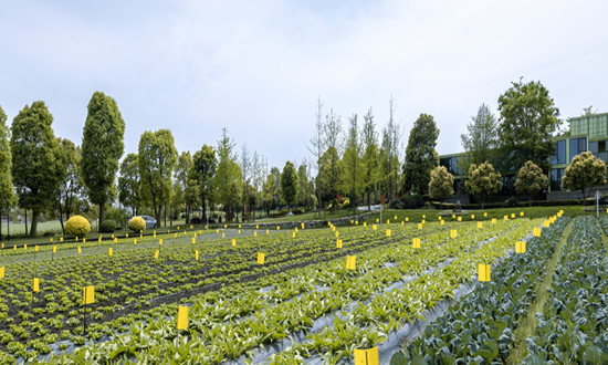 2023农庄旅游行业发展态势 农庄旅游行业投资前景