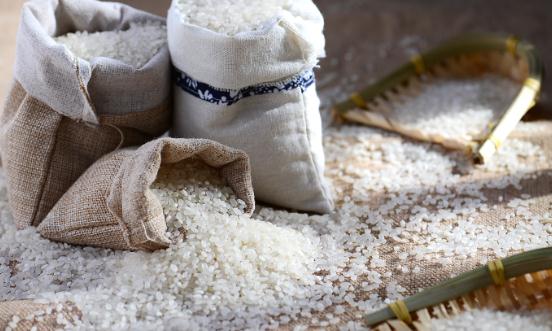 2023大米加工行业市场发展现状调研分析