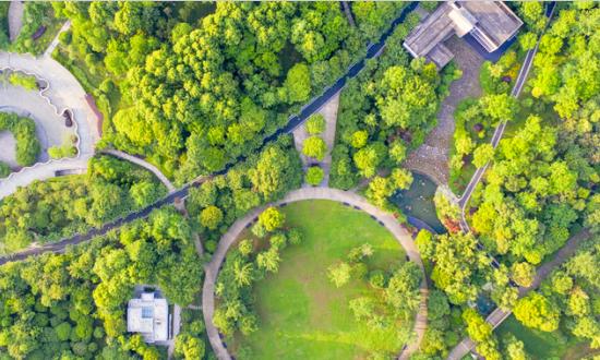 植物增产剂市场调研 2023植物增产剂行业发展前景及现状