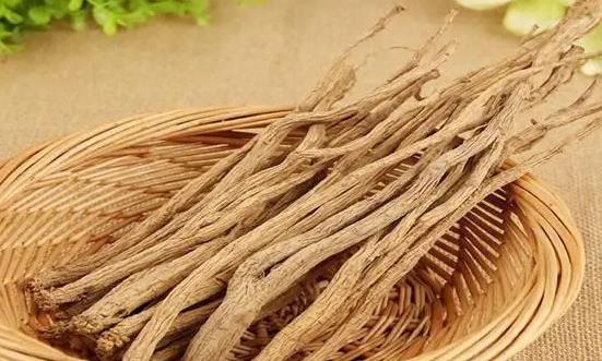 党参市场价格走势 党参行业市场发展前景投资分析