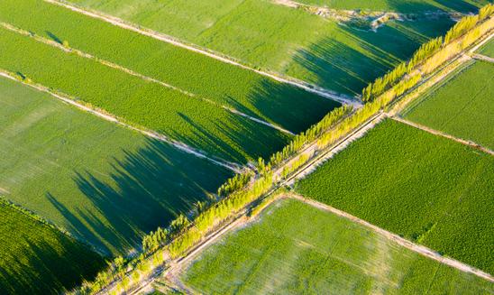 我国观光农业发展潜力巨大！2023年中国现代观光农业行业发展分析