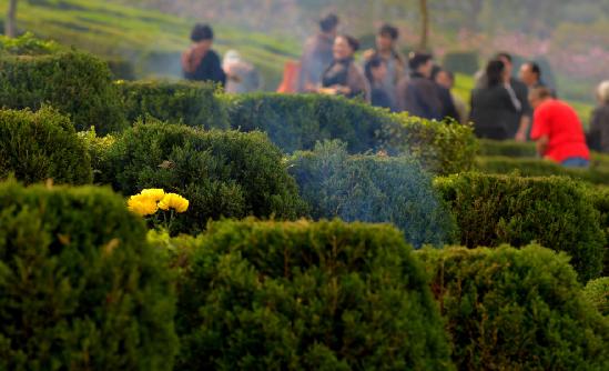 陵园墓地行业全景调研及行业发展潜力分析2023