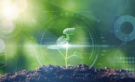 水稻种子行业发展状况 我国水稻智能育种迈入4.0阶段