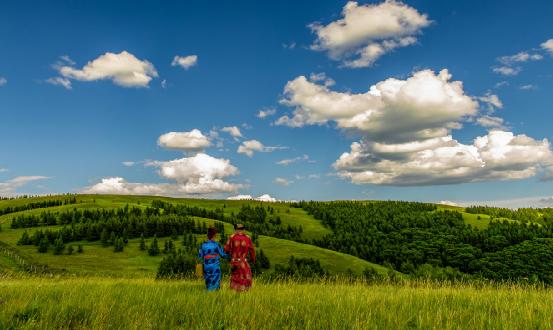 藏药行业分析 藏药行业发展现状调研2023