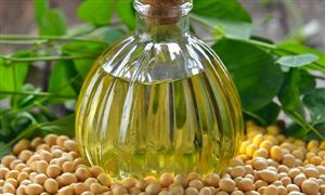 2023年中国大豆油市场深度调查研究报告