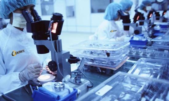 长三角地区认证检验检测行业发展规划 认证检验检测行业发展投资及市场前瞻