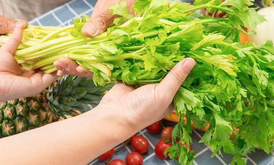 全球转基因技术研究进展迅速 2023年中国转基因农业行业投资前景