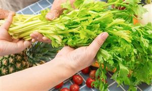 全球转基因技术研究进展迅速 2023年中国转基因农业行业投资前景