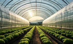 四川：到2025年建成国家和省、市级现代农业园区超千个