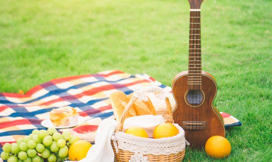 2023年中国野餐用品行业发展现状分析