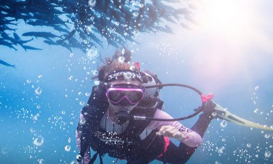 潜水行业发展趋势分析 国内潜水服务业散发巨大潜力