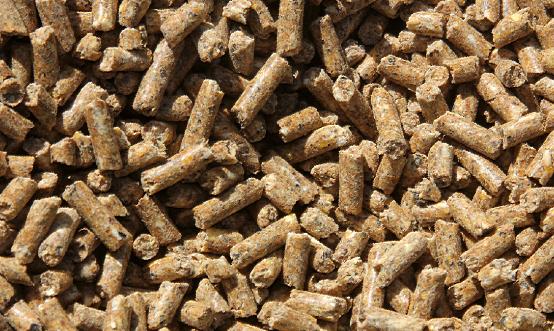 全球猪饲料产量如何?不同地区猪饲料生产情况